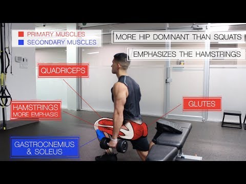 The Best Science-Based Leg Workout for Growth (Glutes/Quads/Hams)