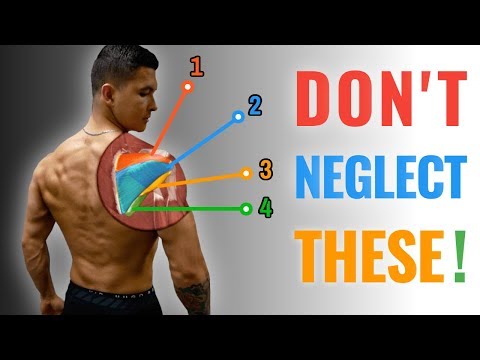 The Best Rotator Cuff Strengthening Routine (BULLETPROOF YOUR SHOULDERS)