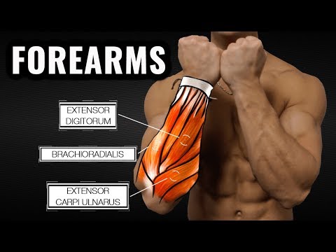 The Best Science-Based Forearm Workout for Size and Strength