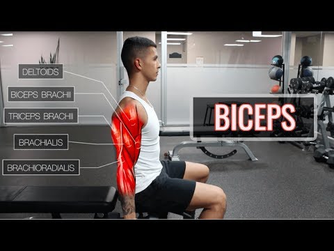 The Best Science-Based Bicep Workout | ARMS (Part 1/2)