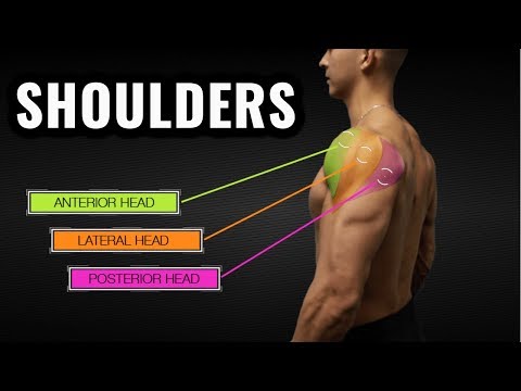 The Best Science-Based Shoulder Workout for Size and Symmetry