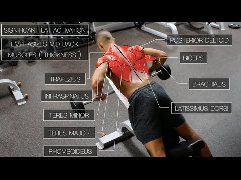 Back Workout Routine (Best Exercises For Mass)