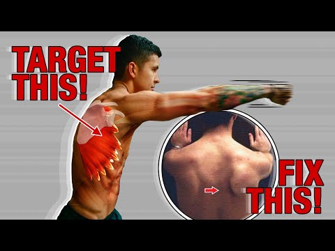 How To “Sculpt” Your Serratus Anterior (STOP Neglecting This Muscle!)