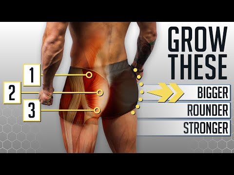 The 4 BEST Glute Exercises For A Nicer Butt (GYM OR HOME!) Ft. Bret Contreras