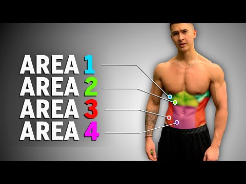 Muscle areas targeted by different types of ab exercises.