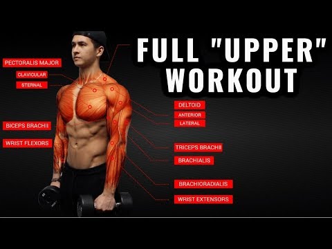 The Best Upper Body Workout Routine and Exercises