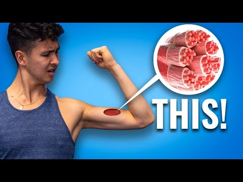 Why YOUR Muscles Aren&#039;t Growing (And How to FIX IT)