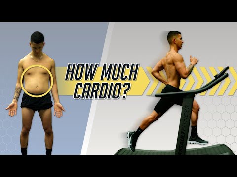 How Much Cardio Should You Do To Lose Belly Fat? (4 Step Plan)