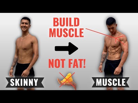 Was My Bulk A Mistake? (What I Learned) 