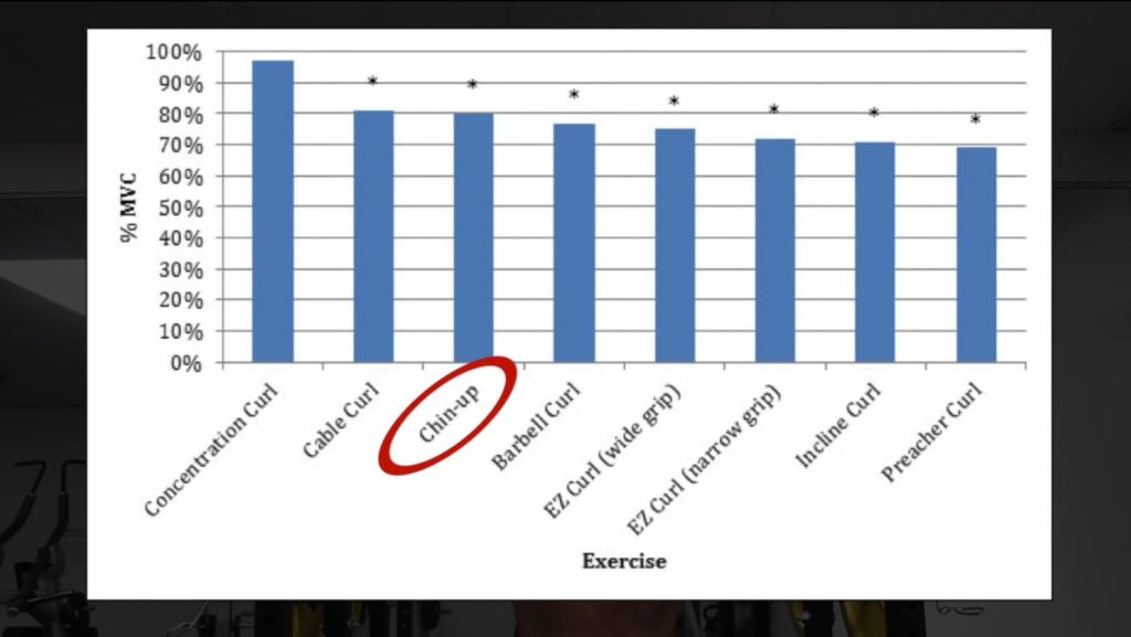 Chin ups activation of the biceps