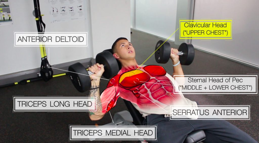 Chest Workout For Mass 5 Exercises To Follow For Massive Gains