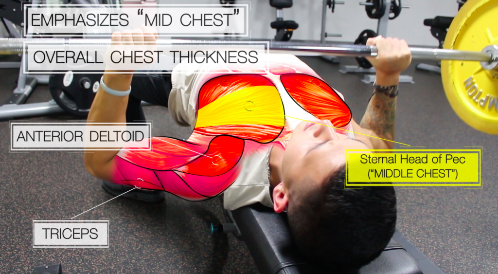 Barbell Chest Workout Routine Eoua Blog 