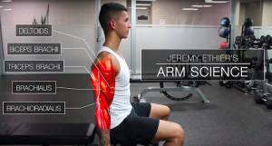 bicep workout science