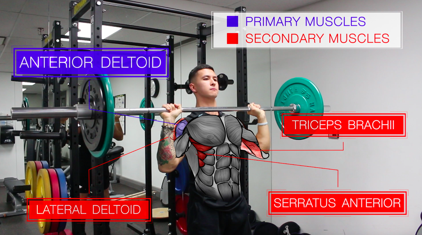 Anterior shoulder online workout