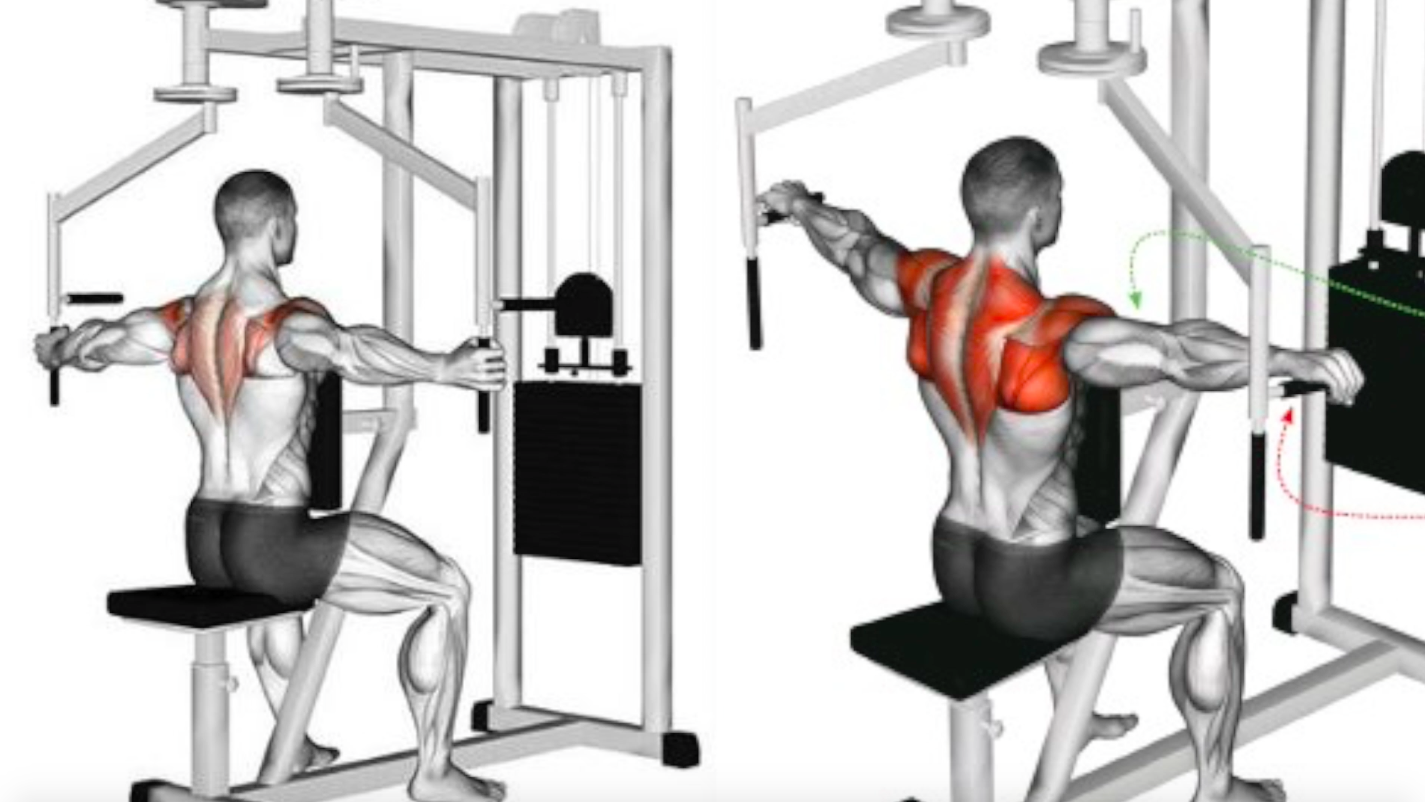 The Best Science Based Shoulder Workout for Size and Symmetry