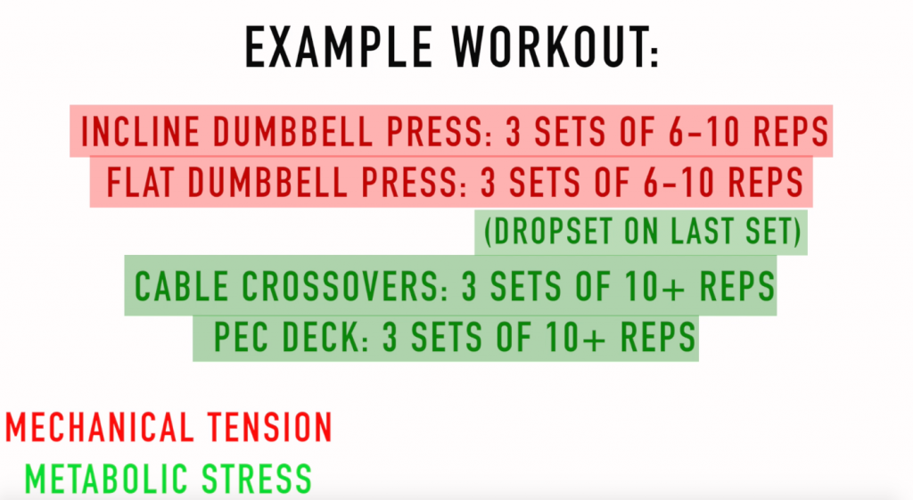 Light vs Heavy Weight (Science-Based) 