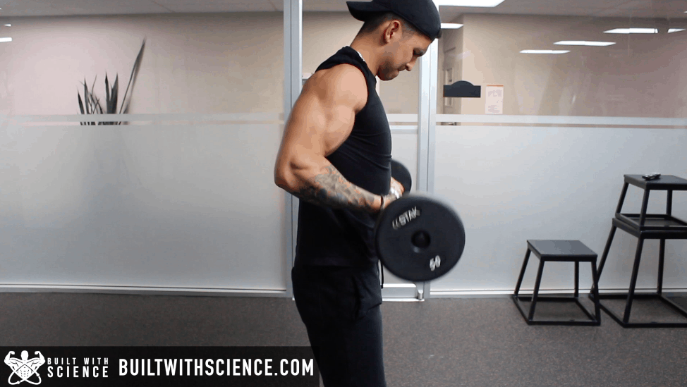 dumbbell brag drag curls