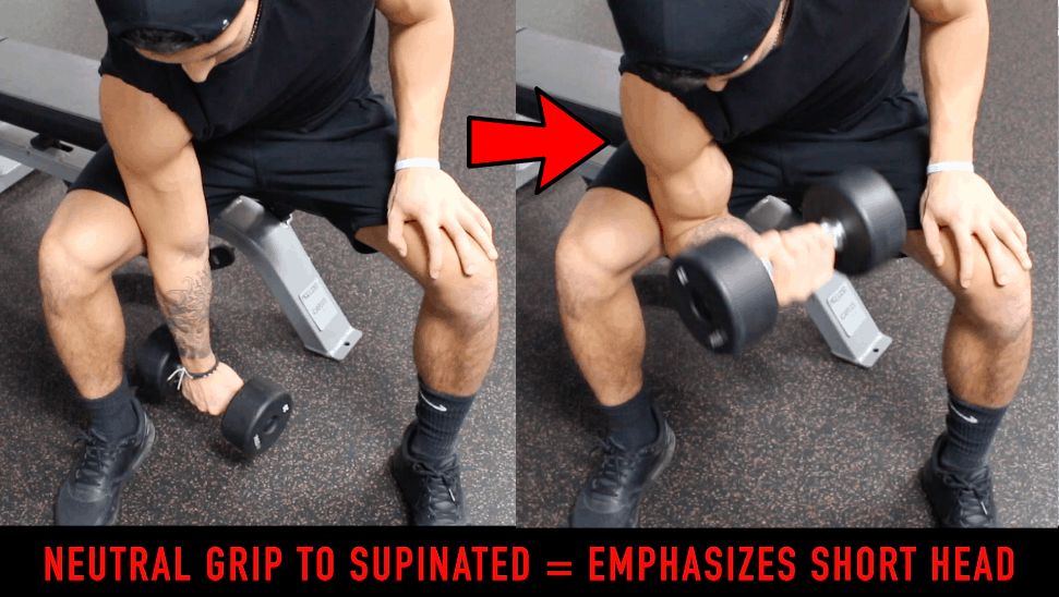 Short Head Biceps Training Tips For Bigger Peaks