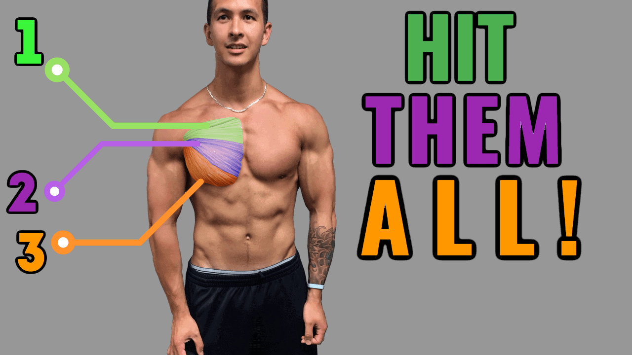 Chest discount growth exercises