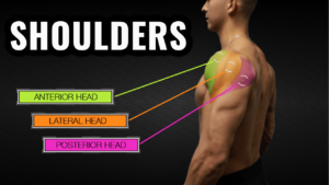 best shoulder workout for mass thumbnail
