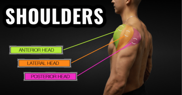 Shoulder Workout Routine 4 Exercises For Bigger Delts Bigger Gains