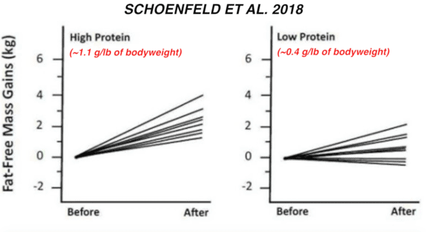 schoenfeld body recomposition study