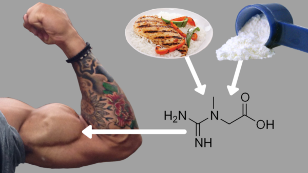 Creatine 101: How to Best Use Creatine for Muscle Growth (12 Studies) Creatine 101: How to Best Use Creatine for Muscle Growth (12 Studies)