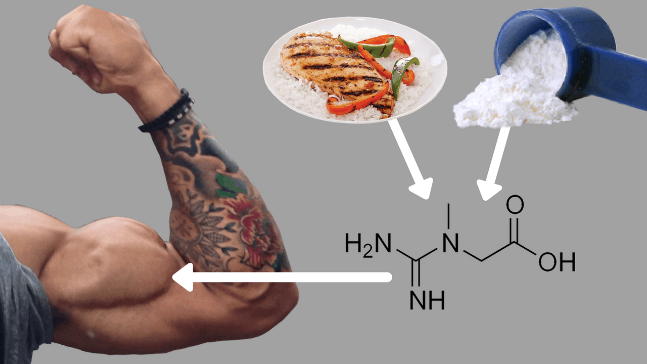 Creatine 101 How To Best Use Creatine For Muscle Growth 12 Studies