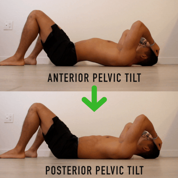 you are now in anterior pelvic telt