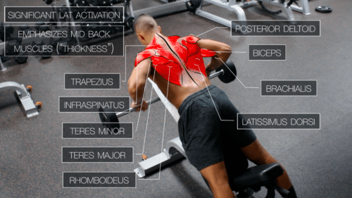 The Best Upper-Body Workout Plan: 15 Exercises for Mass - Steel