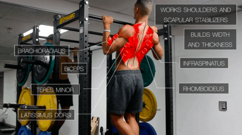 How To Program Upper Body Training For Athletes - Overtime