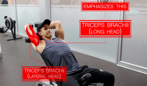 upper body exercise for triceps
