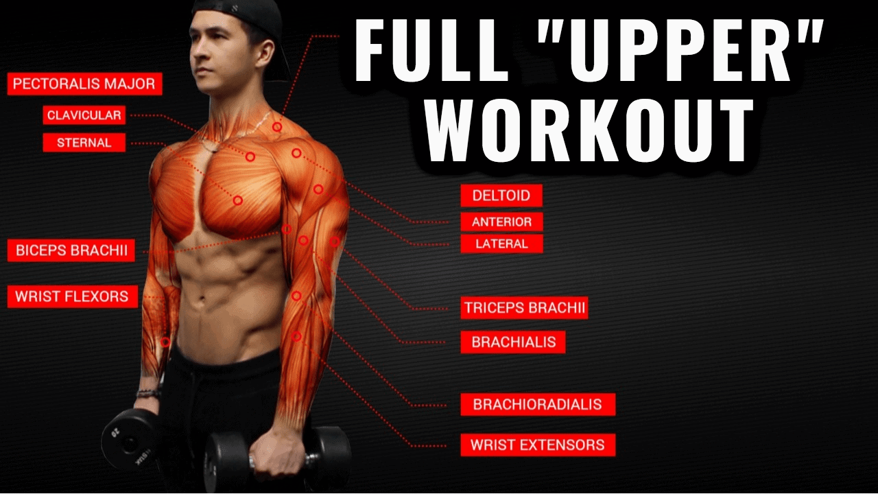 Upper Body Dumbbell Exercises, Biceps, Triceps & Shoulders Workout