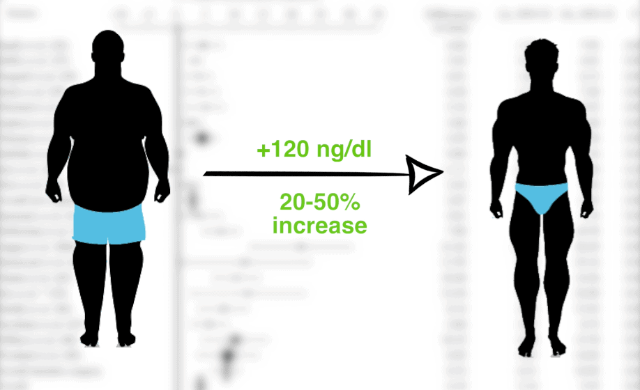 fat loss boosts testosterone levels