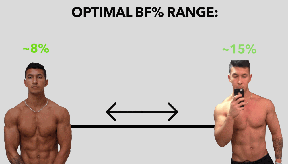 optimal body fat for testosterone levels