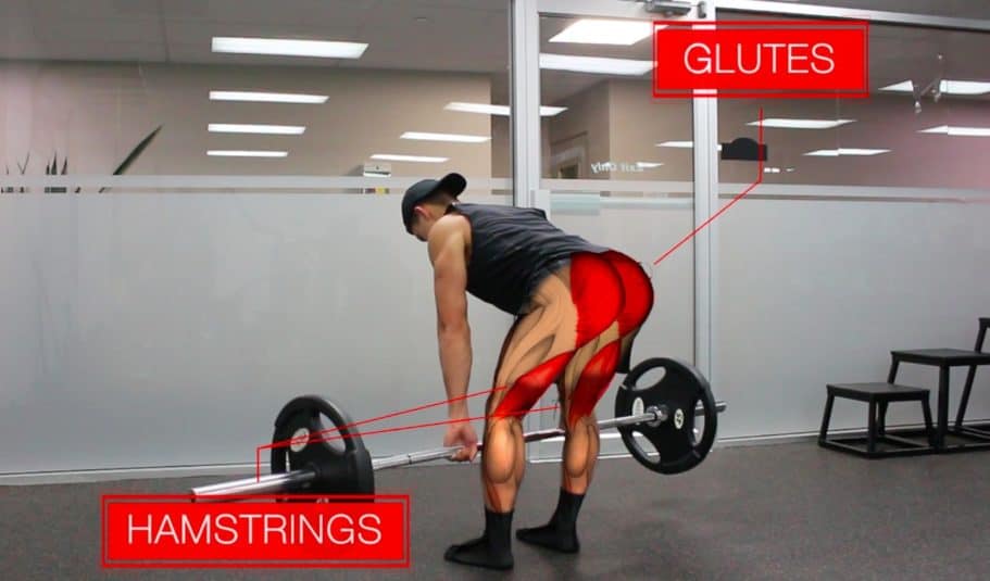 The Best Science-Based Lower Body Workout for Growth (Quads/Hams/Glutes) 