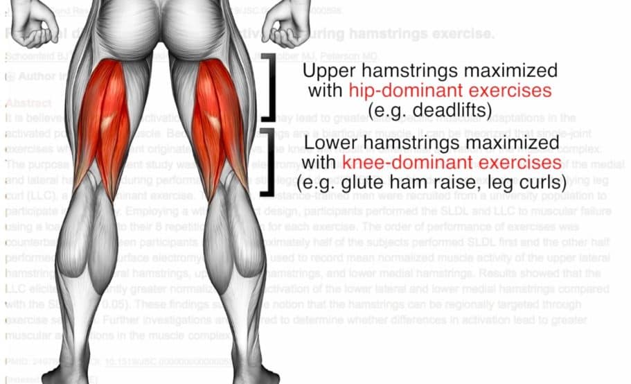 benefits of lower body strength