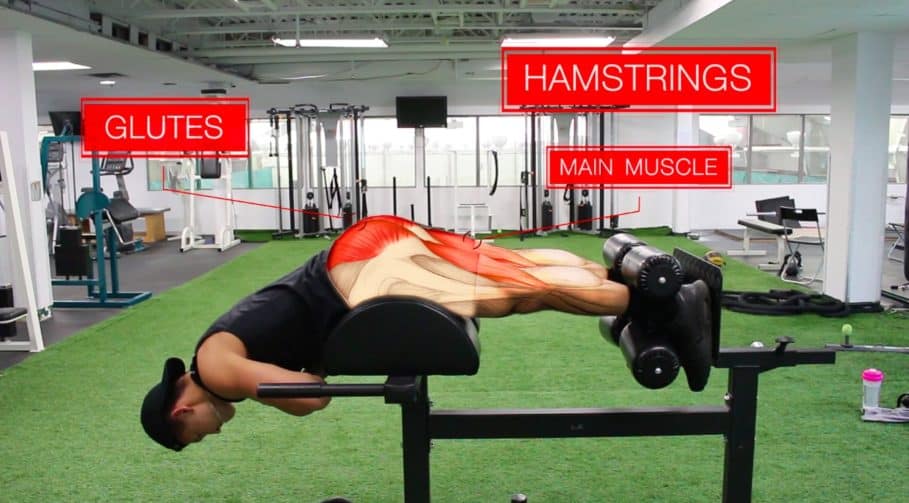 glute ham raise oefening