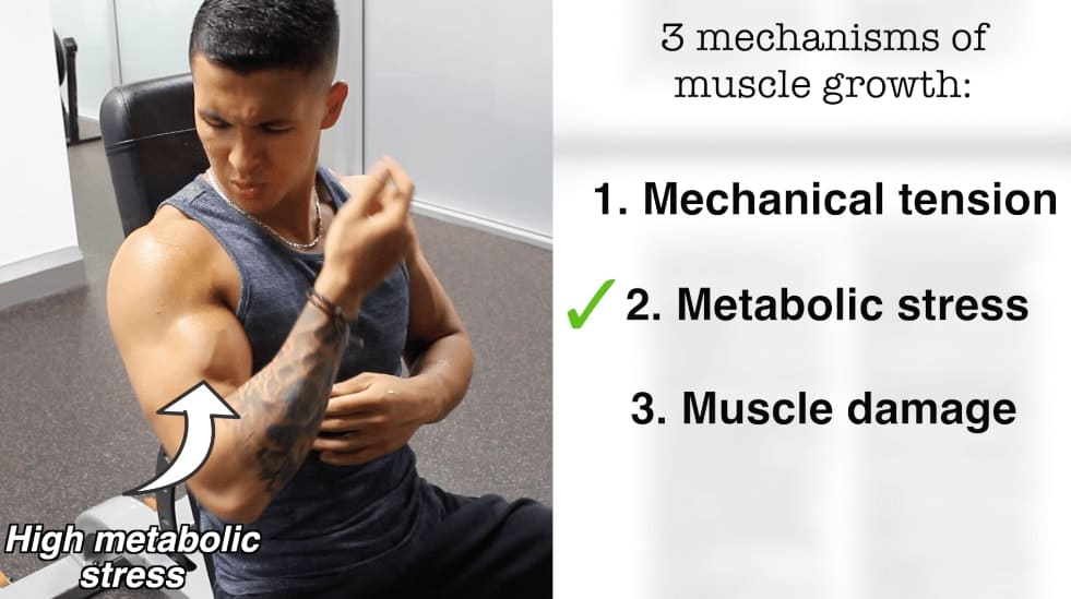 The Science of Muscle Recovery: How Long Should You Rest Between