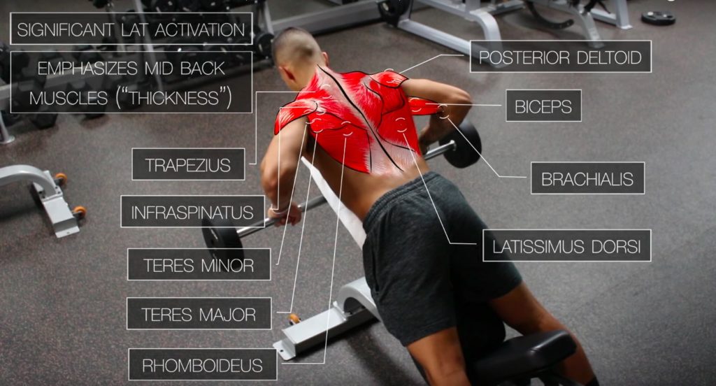 The Best Science-Based Back Workout for Growth (12 Studies)