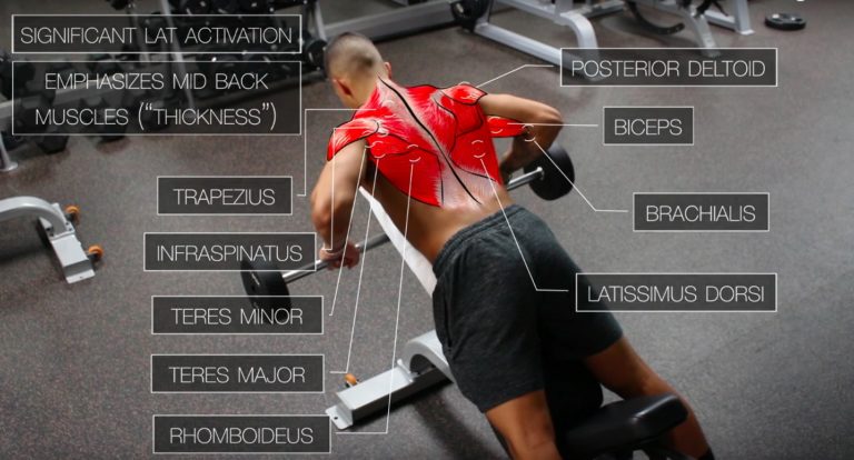 best back workout