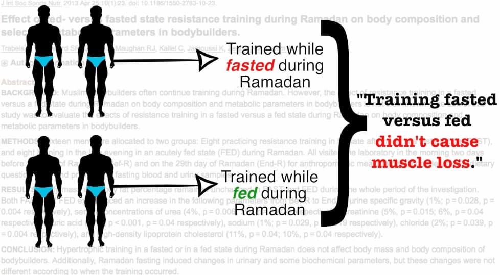 The TRUTH About BCAA's Why They're Harming Your Gains (10 Studies)