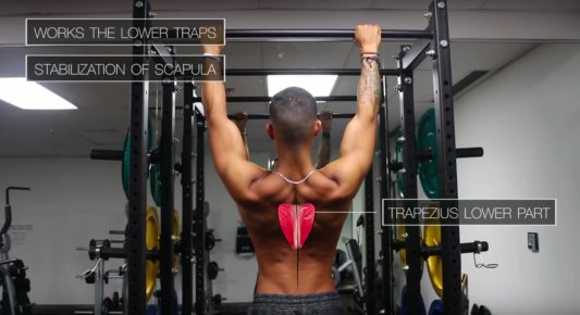 scapular pull-ups for lower traps