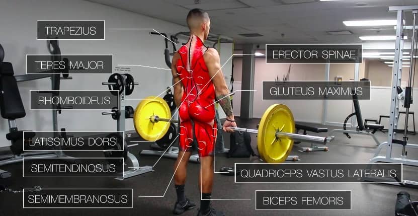 Lats Workout Chart