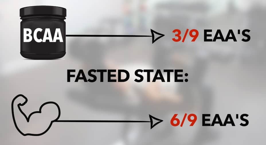 bcaas intermittent fasting