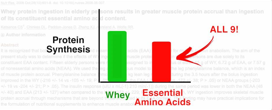 bcaa supplement