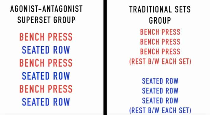 Antagonist workout split sale