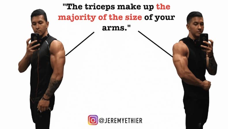 Get wider triceps hot sale