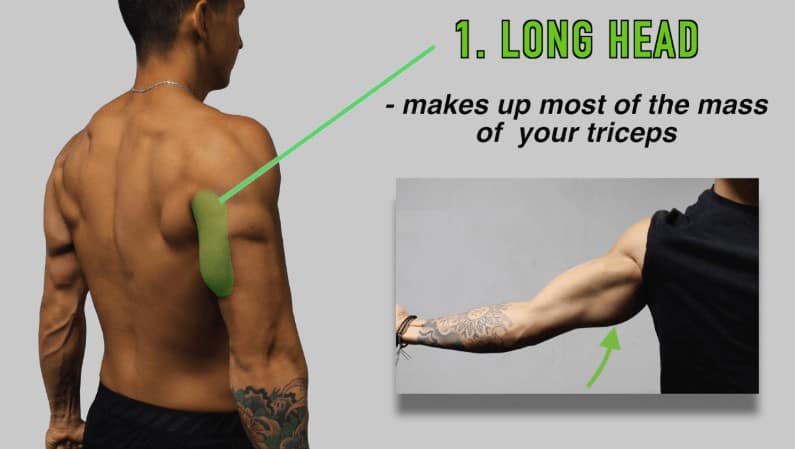 Behind the head online tricep