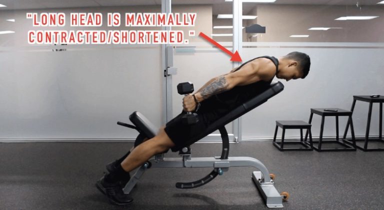 The Best Science Based Tricep Exercises For Each Head Work Your Weak Points 5209